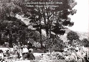 Paella aux planteurs